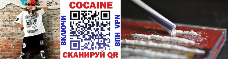 Купить где  Первомайск  COCAIN Fish Scale 
