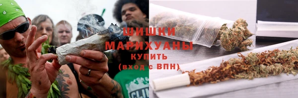 spice Дмитров
