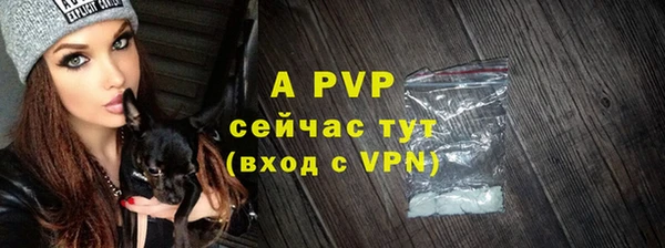 spice Дмитров