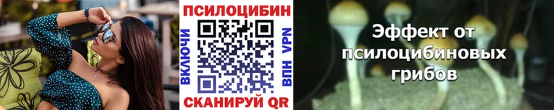 Псилоцибиновые грибы прущие грибы  Купить закладки  Первомайск 
